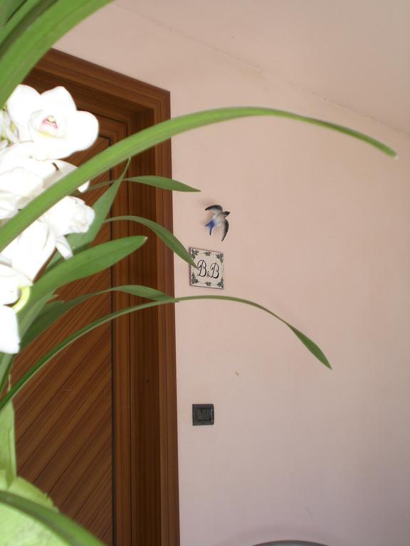 B&B Cav Rondinella 基亚文纳 外观 照片